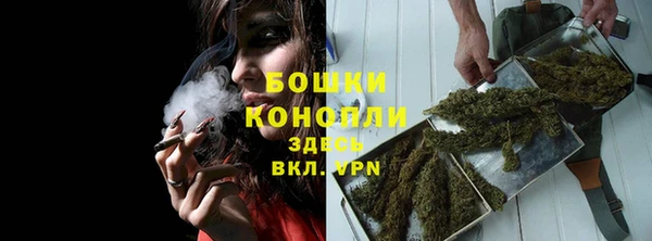 стаф Майский