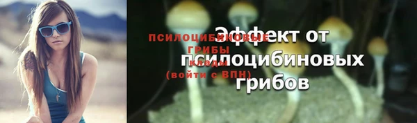 МДПВ Магас