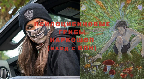 МДПВ Магас