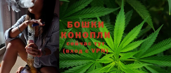 стаф Майский