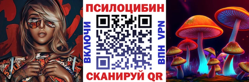 kraken зеркало  Балаково  Псилоцибиновые грибы Psilocybine cubensis  купить  