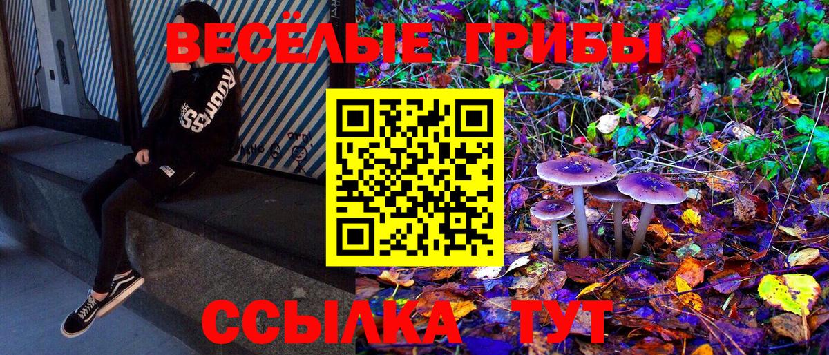 Псилоцибиновые грибы Magic Shrooms  закладка  Балаково  Галлюциногенные грибы мицелий 