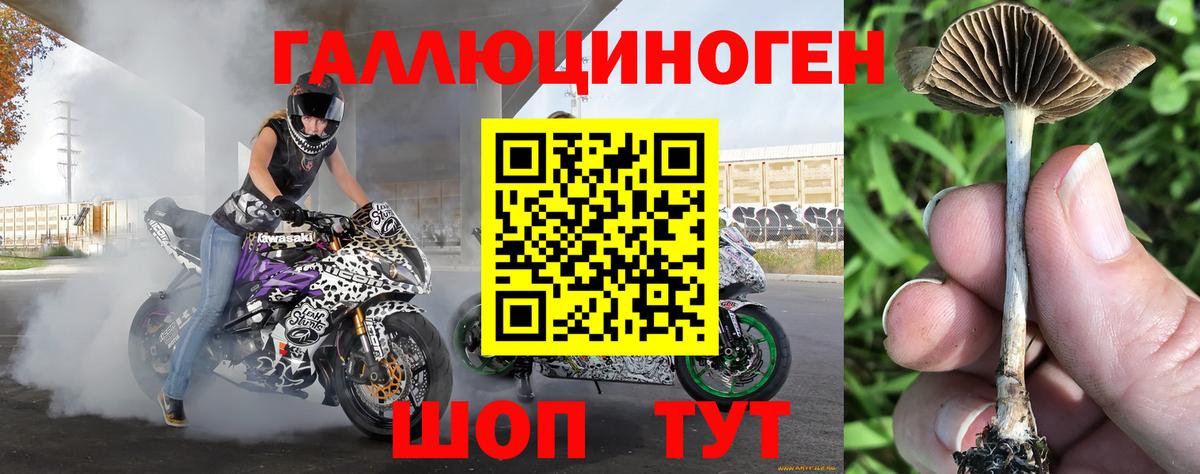 Балаково  Галлюциногенные грибы MAGIC MUSHROOMS  Вход с VPN 