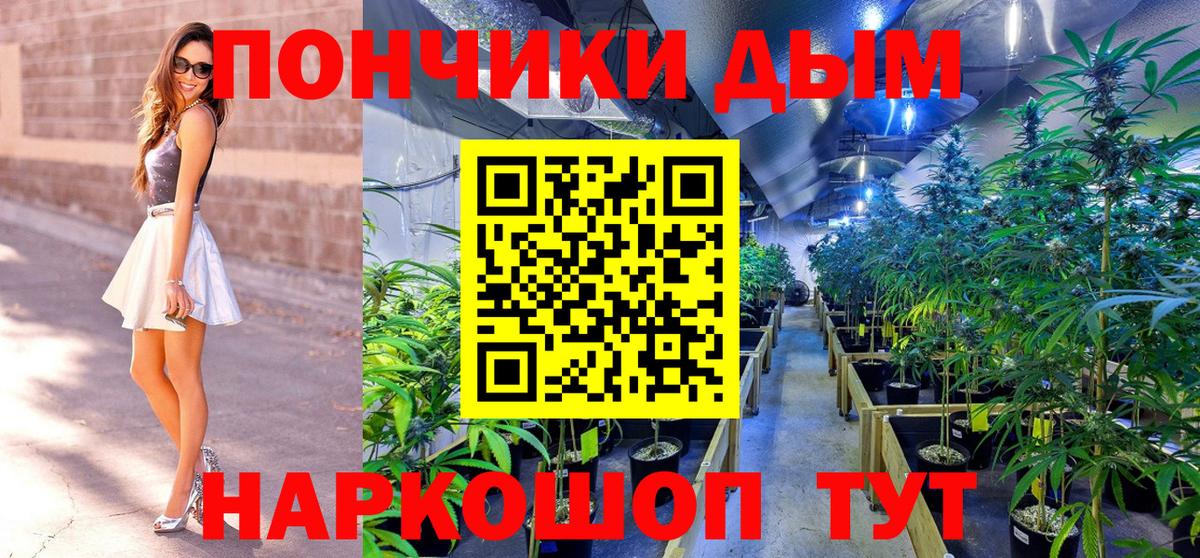Конопля план  Балаково  Шишки марихуана индика  Канабис White Widow 
